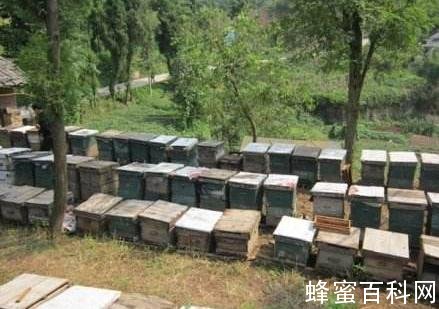 枣庄市食药监局召开全市蜂蜜产品生产企业约谈会议